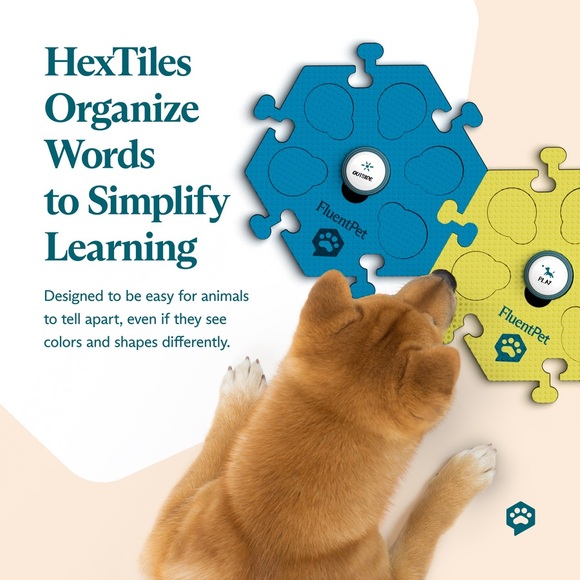 FluentPet Basic Vocab Training Set - Picture 4 of 8